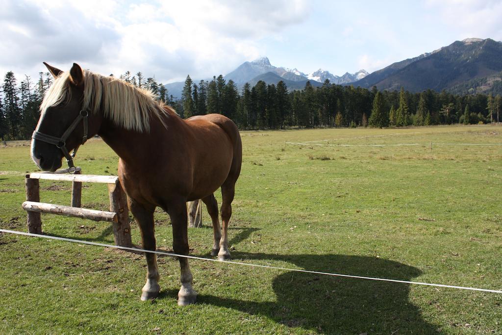 Penzion Koliba Vysoké Tatry Exterior foto